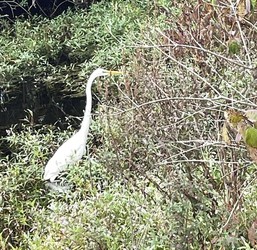 Wildlands Conservancy – Minsi Lake Canoe Paddle – September 21