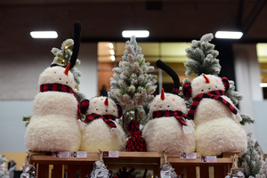 Des Moines Holiday Boutique