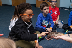 Homeschool Day: Wetlands and Watershed