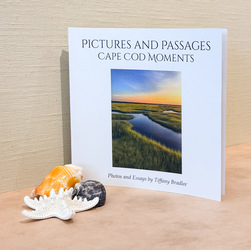 Informal Chat & Book Signing with Author/Photographer Tiffany Bradlee