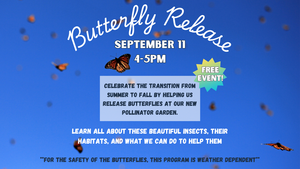 Butterfly Release