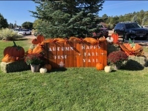 Larkspur Autumn Arts & Crafts Fest