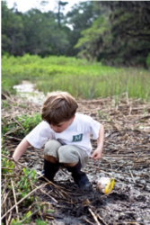 Discovery Day: Crab-by Adventure