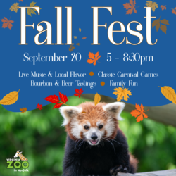Fall Fest