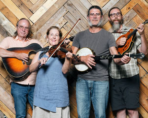 Concert in the Park featuring Old Jawbone String Band