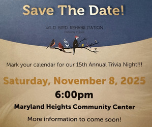 Wild Bird Rehabilitation Trivia Night