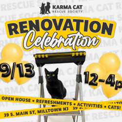 Karma Cat Rescue Society's Renovation Celebration
