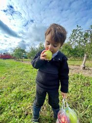 Becker Farms Apple Thief Weekend