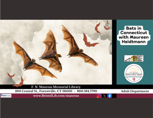 Bats in Connecticut