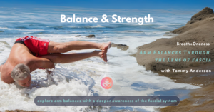 Balance & Strength - Arm Balances Through The Lens of Fascia