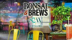 Bonsai & Brews at 82West | Tampa