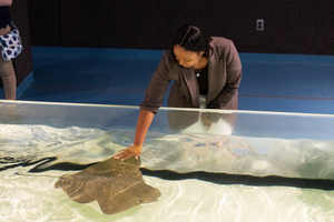 Virginia Aquarium Teacher Open House