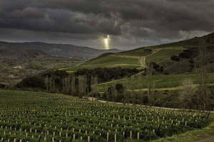 Santa Barbara Wine Tasting