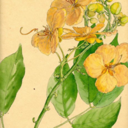 STEAM Saturday: Terrific Terrariums