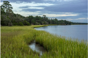 Community Day at the Dill Sanctuary