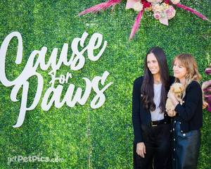 Cause for Paws Fundraiser & Runway Show