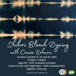 Shibori Bleach Dyeing with Connie Rohman