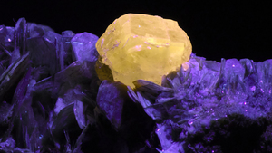 A Marvelous Night of Minerals: An ‘Earthly Matters’ Opening Celebration