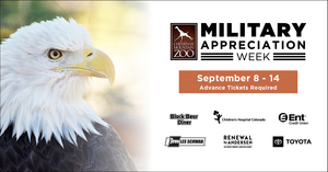 Military Appreciation Week