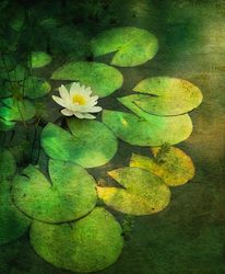 iPhoneography: A Two-Part Series