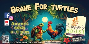 Brake For Turtles LIVE at Ringer's Roost