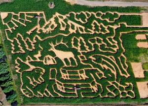 Grand Opening of The MAiZE at The Pumpkin Patch!