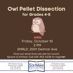 Kids Owl Pellet Dissection