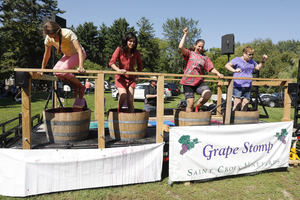 Grape Stomp
