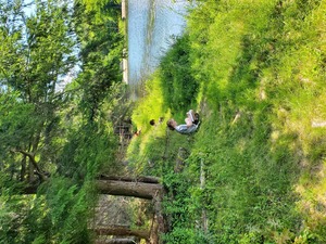 Lincoln Pond Field Journaling