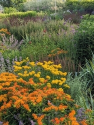 Garden Planning with Jennifer Smith! Tuesday, 6:00 p.m. September 23 – October 14