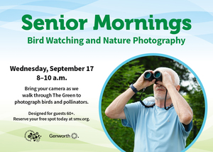 Senior Mornings: Bird Watching and Nature Photography