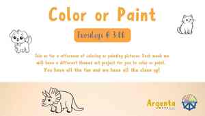 Color Or Paint