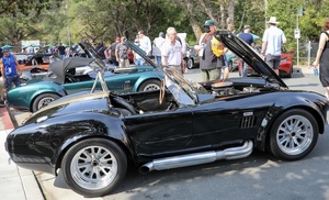 21st Annual Orinda Classic Car Show