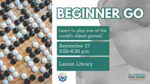 Beginner Go: One Community/One Book