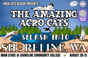 The Amazing Acro-Cats: Splash into Shoreline