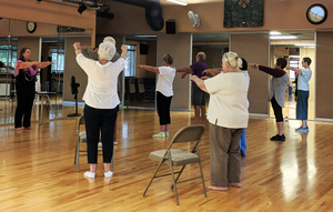 Gentle Tai Chi Qigong