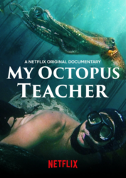 Movies That Move: "My Octopus Teacher"