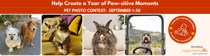 Napa Humane’s Pet Photo Contest
