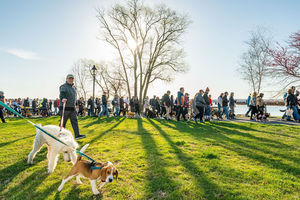 ALX Dog Walk & Sustainability Festival