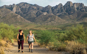 Desert Ecology Hike – Brown Mountain