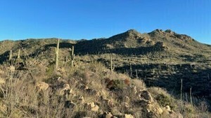 Sonoran Desert Geology Hike – Wild Burro Canyon