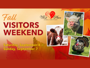 Fall Visitors Weekend