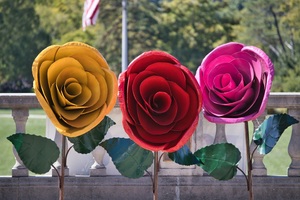 " Ault in Bloom 2025"