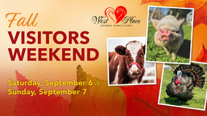 Fall Visitors Weekend at Historic West Place