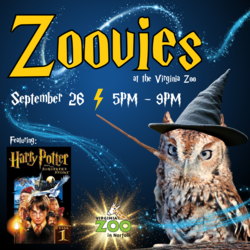 Zoovies: Harry Potter and the Sorcerer's Stone