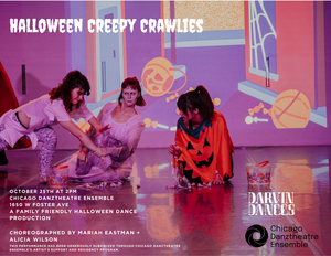 Halloween Creepy Crawlies