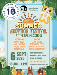 Pet Adoption Festival