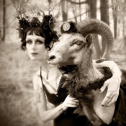 Dust Bowl Faeries Dark Carnival Music at Rochester Fringe Fest​ival