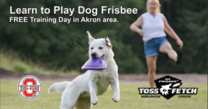 Dog Frisbee Clinic in Silver Lake