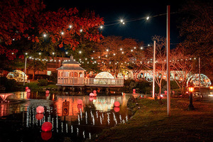 Autumn Lights and Igloo Dining at Cherry Valley Hotel